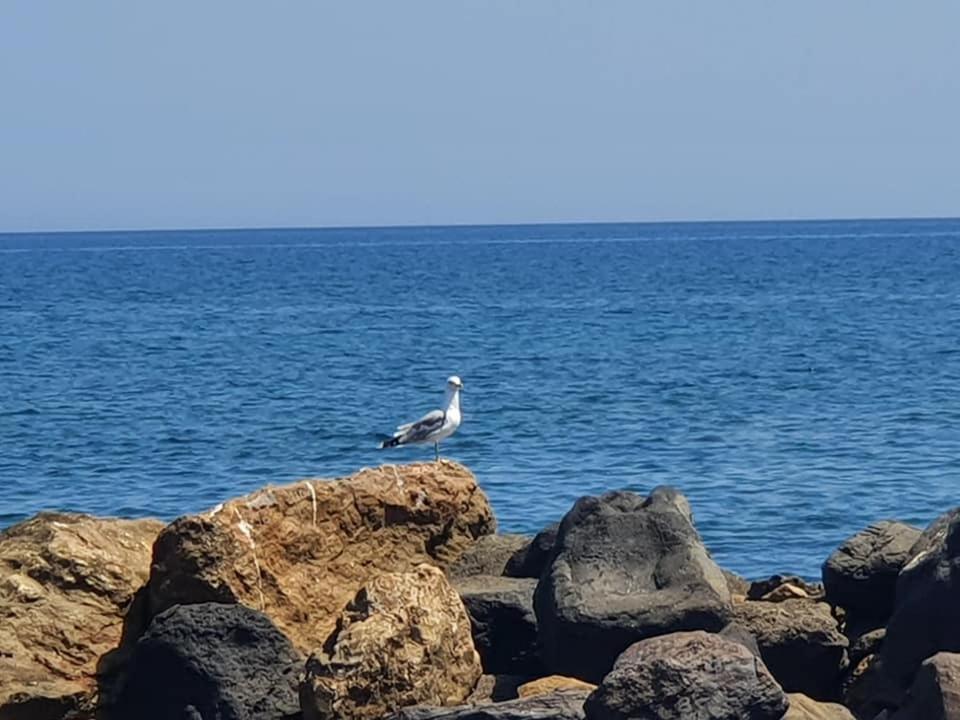 Rodothea And Adams On The Beach, Santorini โมโนลิธอส ภายนอก รูปภาพ
